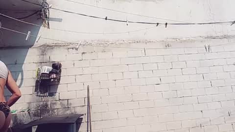 Snapshot of veroalva chatting on January 2025 05:17:01 PM Vero Alva online show from January 2025 05:17:01 PM