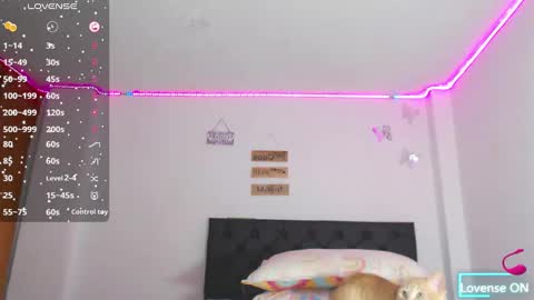 Vero online show from March 2025 02:17:02 AM