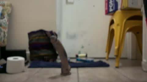 Snapshot of verona365 chatting on September 2025 02:02:01 AM Hmartinez365 online show from September 2025 02:02:01 AM