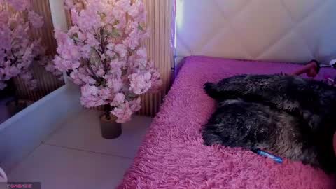 veronica_hill_ online show from July 2026 02:57:02 AM