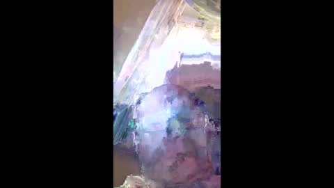 veronika456 online show from June 2026 08:01:02 AM
