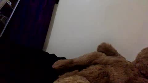 Snapshot of veryberrry chatting on April 2026 10:04:02 PM DarkBerryBliss online show from April 2026 10:04:02 PM