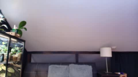 vevelicious online show from May 2026 06:24:01 PM