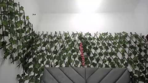 Snapshot of vfridaper chatting on November 2025 12:00:01 AM Frida online show from November 2025 12:00:01 AM