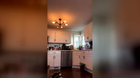 vic_cd online show from April 2026 11:54:02 AM