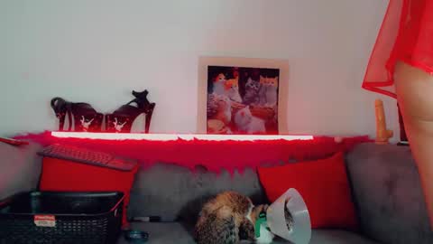 Snapshot of vicky_gill_ chatting on October 2025 07:03:02 PM vicky_gill_ online show from October 2025 07:03:02 PM