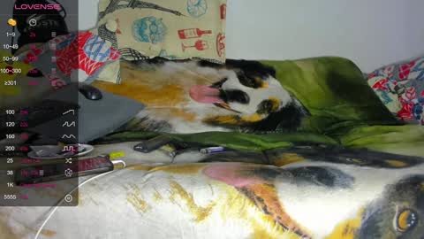 Snapshot of vicky_hotteei chatting on January 2025 12:54:01 AM vicky manuela online show from January 2025 12:54:01 AM