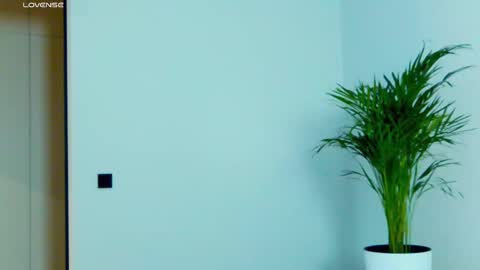 Miss V online show from November 2025 06:15:01 AM