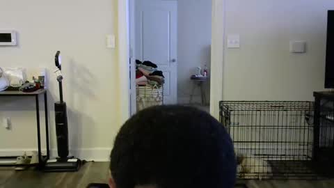 victoryd007 online show from January 2025 09:30:01 PM