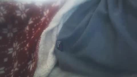 Snapshot of vicvictoree chatting on January 2026 12:29:01 PM vicvictoree online show from January 2026 12:29:01 PM