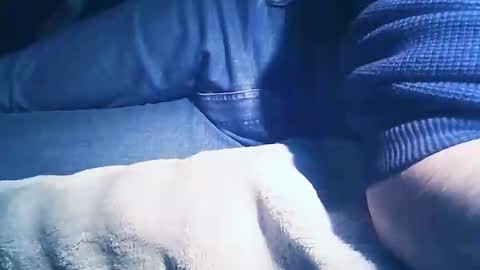 Snapshot of vicvictoree chatting on February 2026 07:01:02 PM vicvictoree online show from February 2026 07:01:02 PM