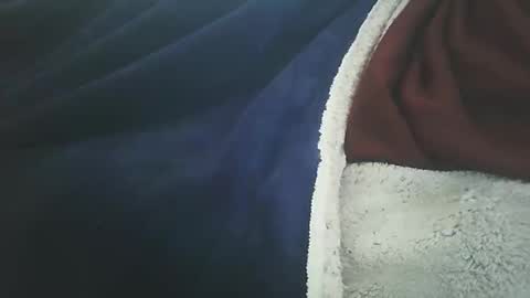 Snapshot of vicvictoree chatting on February 2026 01:27:02 PM vicvictoree online show from February 2026 01:27:02 PM