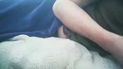 Snapshot of vicvictoree chatting on February 2026 01:39:02 PM vicvictoree online show from February 2026 01:39:02 PM