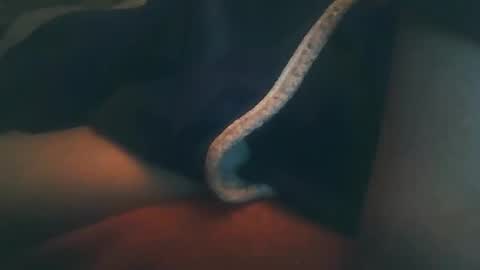 Snapshot of vicvictoree chatting on February 2026 10:41:02 PM vicvictoree online show from February 2026 10:41:02 PM