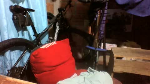 viernes1010 online show from June 2026 12:36:01 PM
