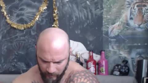 viking online show from March 2026 06:39:02 AM