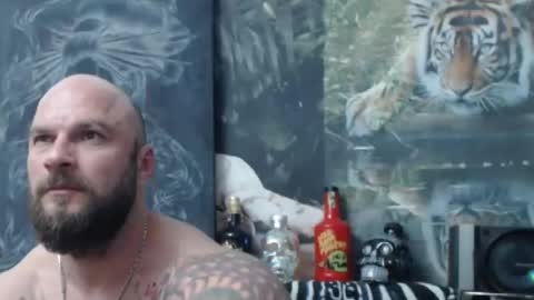 viking online show from April 2026 06:53:02 PM