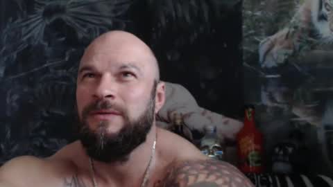 viking online show from May 2026 10:31:02 AM
