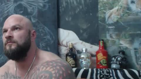 viking online show from May 2026 05:41:01 PM