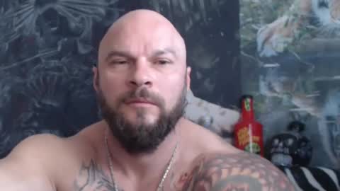viking online show from May 2026 06:08:01 AM