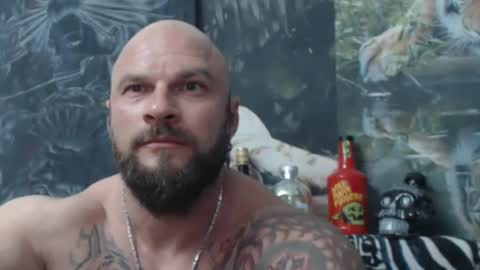 viking online show from May 2026 06:36:01 PM