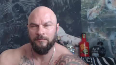 viking online show from May 2026 06:53:01 AM