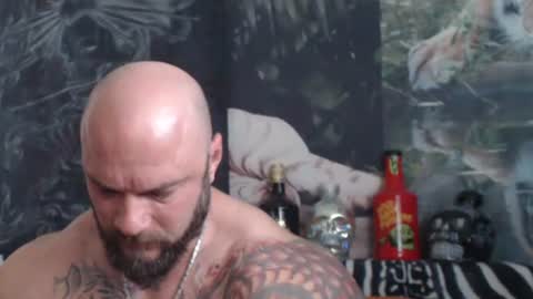 viking online show from May 2026 07:04:01 AM