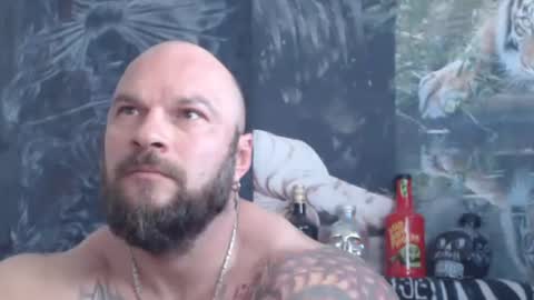 viking online show from May 2026 06:31:02 AM