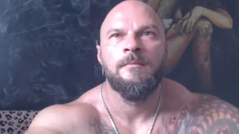 viking online show from July 2026 06:26:02 AM