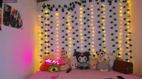    online show from May 2026 01:41:02 PM