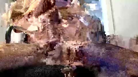 horny guy online show from May 2026 02:48:01 PM