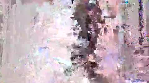 Snapshot of vitto_hammer5758 chatting on February 2026 09:49:01 PM vitto_hammer5758 online show from February 2026 09:49:01 PM