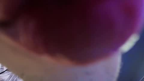    new acount online show from May 2026 03:43:01 PM