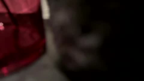 John online show from January 2025 04:18:02 PM