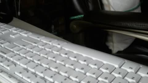 Snapshot of vnpg92 chatting on December 2025 08:14:02 PM vnpg92 online show from December 2025 08:14:02 PM