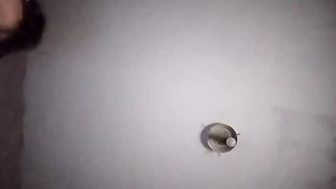 Snapshot of vujadetr chatting on September 2025 07:42:01 AM vujadetr online show from September 2025 07:42:01 AM