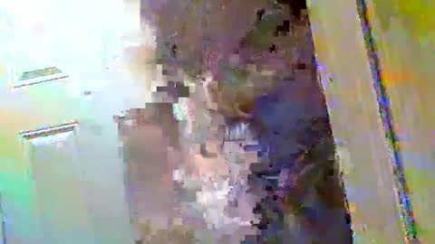 Snapshot of waltbkk chatting on December 2024 10:43:01 AM Walter online show from December 2024 10:43:01 AM