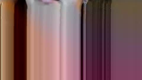 Snapshot of wangda2401 chatting on February 2025 06:10:01 PM wangda online show from February 2025 06:10:01 PM