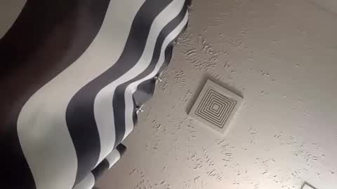 Snapshot of wanttowatch87 chatting on December 2024 05:58:02 AM wanttowatch87 online show from December 2024 05:58:02 AM