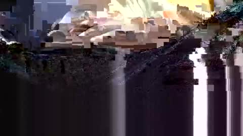 Snapshot of wanttowatch87 chatting on February 2025 03:51:01 AM wanttowatch87 online show from February 2025 03:51:01 AM