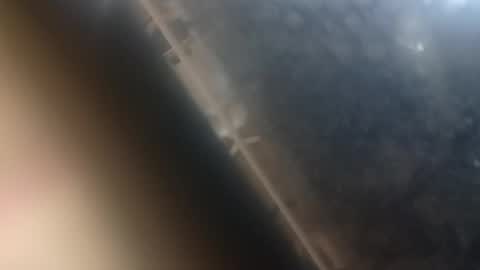 wanttowatch87 online show from May 2026 02:28:02 AM