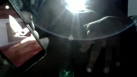 Snapshot of wario23499501 chatting on March 2026 09:29:02 PM wario23499501 online show from March 2026 09:29:02 PM