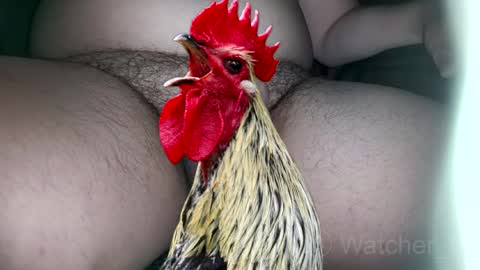 classified online show from October 2025 08:17:02 PM