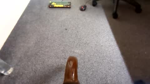 waterd4wg online show from April 2026 06:10:01 PM