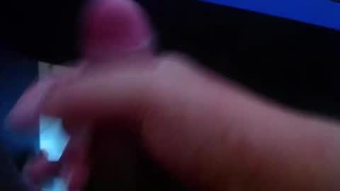 wellingtont online show from February 2026 08:41:01 AM