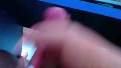 wellingtont online show from March 2026 11:15:02 AM