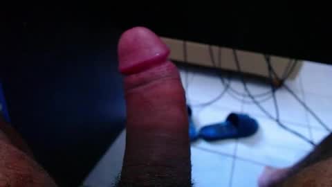 wellingtont online show from March 2026 02:26:01 AM