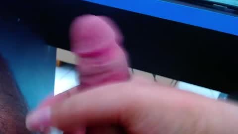 wellingtont online show from April 2026 12:46:01 PM