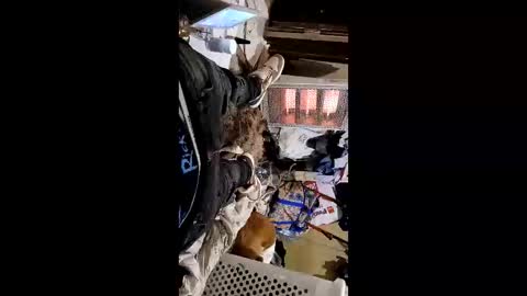 weloveeachothersrizz online show from January 2026 01:24:01 PM