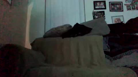 Eduardo online show from February 2026 11:03:01 AM